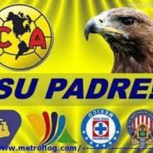 Meet your Posher, Fausto